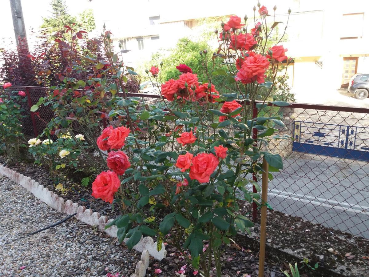 Bed And Breakfast Les Roses Multicolores Du 47 Fumel Exteriér fotografie